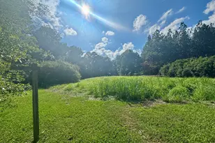 2099 N Salemburg Hwy, Salemburg, NC 28385 - Photo 3