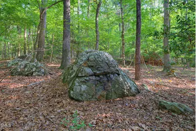 100 Sloping Pond Road, Pittsboro, NC 27312 - Photo 5