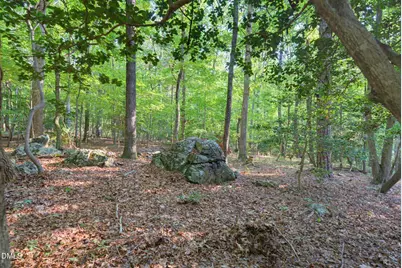 100 Sloping Pond Road, Pittsboro, NC 27312 - Photo 21