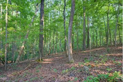 100 Sloping Pond Road, Pittsboro, NC 27312 - Photo 15