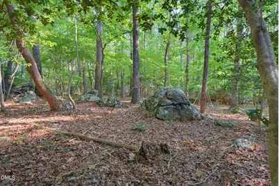 100 Sloping Pond Road, Pittsboro, NC 27312 - Photo 3