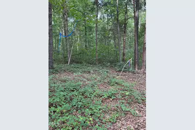 00 Chatham Church Road, Moncure, NC 27559 - Photo 13