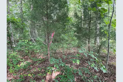 00 Chatham Church Road, Moncure, NC 27559 - Photo 9