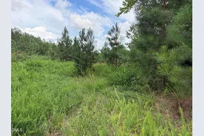 00 Chatham Church Road, Moncure, NC 27559 - Photo 5