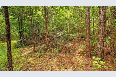 0 Blacks Road, Macon, NC 27551 - Photo 11