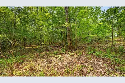 0 Blacks Road, Macon, NC 27551 - Photo 5