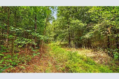 0 Blacks Road, Macon, NC 27551 - Photo 7