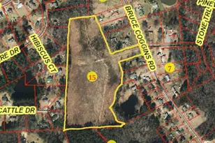0 Bruce Coggins Rd, Sanford, NC 27332 - Photo 1