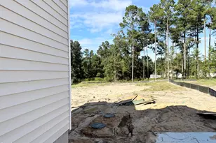 46 Mulligan Ave, Benson, NC 27504 - Photo 5