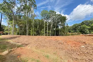 7429 Blantons Grove Way, Wake Forest, NC 27587 - Photo 5