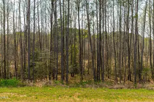 761 Riguard Wy, Wendell, NC 27591 - Photo 41