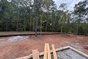 7424 Blantons Grove Way, Wake Forest, NC 27587 - Photo 7