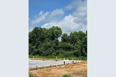 297 Margot Manor Drive, Benson, NC 27504 - Photo 3