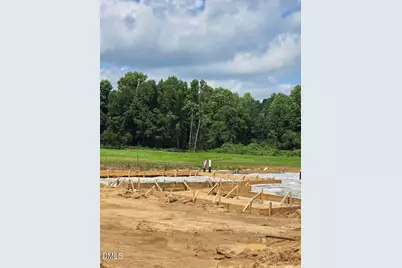 297 Margot Manor Drive, Benson, NC 27504 - Photo 5
