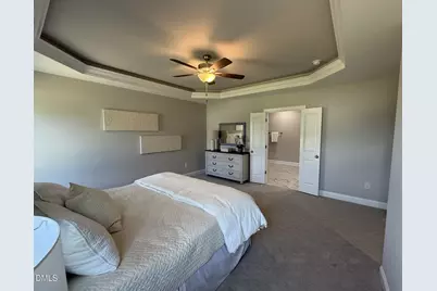 25 Mineral Springs Way, Benson, NC 27504 - Photo 17