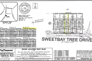 308 Sweetbay Tree Dr, Wendell, NC 27591 - Photo 69