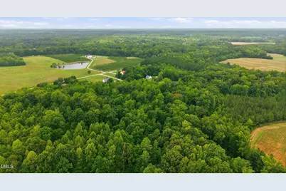 70 Strawberry Springs Drive, Hurdle Mills, NC 27541 - Photo 43