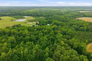 70 Strawberry Springs Dr, Hurdle Mills, NC 27541 - Photo 43
