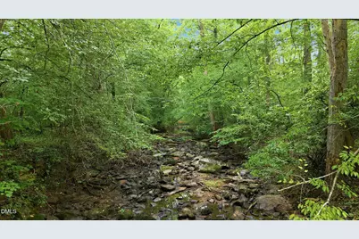 70 Strawberry Springs Drive, Hurdle Mills, NC 27541 - Photo 29