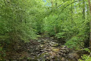 70 Strawberry Springs Dr, Hurdle Mills, NC 27541 - Photo 29
