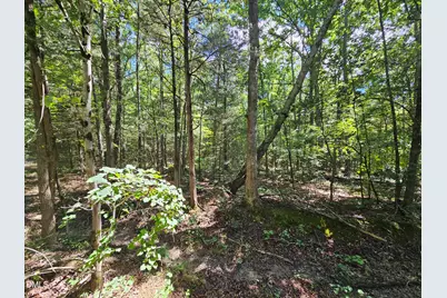 625 Harts Creek Drive, Pittsboro, NC 27312 - Photo 5