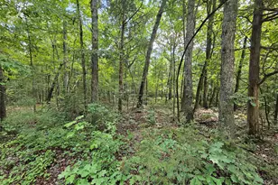 625 Harts Creek Dr, Pittsboro, NC 27312 - Photo 1