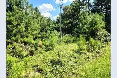 486 Creech Johnson Road, Zebulon, NC 27597 - Photo 7