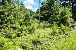 486 Creech Johnson Rd, Zebulon, NC 27597 - Photo 7