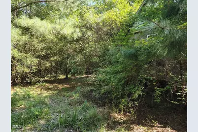 486 Creech Johnson Road, Zebulon, NC 27597 - Photo 9
