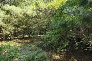 486 Creech Johnson Rd, Zebulon, NC 27597 - Photo 9