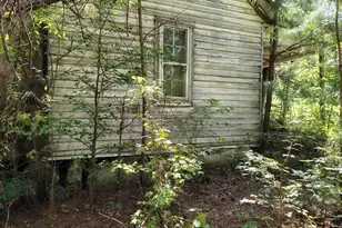 486 Creech Johnson Rd, Zebulon, NC 27597 - Photo 5