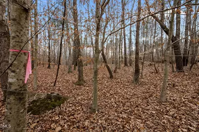 10.75 Acre Neal's Store Road, Roxboro, NC 27574 - Photo 9
