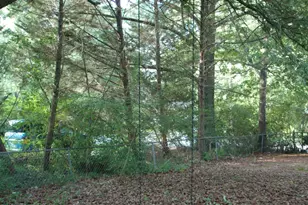 1434 Sedwick Rd, Durham, NC 27713 - Photo 31