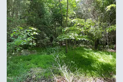 0 Thompson Mill Road, Graham, NC 27253 - Photo 3