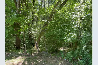 0 Thompson Mill Road, Graham, NC 27253 - Photo 7