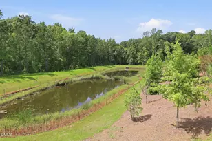 1101 Aberleigh Ln, Morrisville, NC 27560 - Photo 53