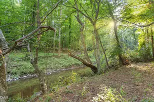 518 Morgan Creek Rd, Chapel Hill, NC 27517 - Photo 3