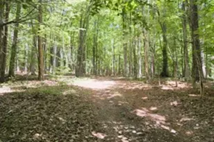 221 Allens Way, Kittrell, NC 27544 - Photo 35