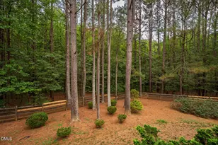 1624 Rosebriar Pl, Hillsborough, NC 27278 - Photo 53