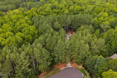 1624 Rosebriar Place, Hillsborough, NC 27278 - Photo 69
