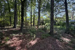 408 Marjorie Dr, Cary, NC 27511 - Photo 51