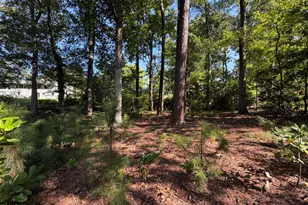 408 Marjorie Dr, Cary, NC 27511 - Photo 47