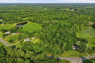 6129 Kimesville Rd, Liberty, NC 27298 - Photo 35