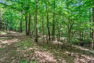 686 Spindlewood, Pittsboro, NC 27312 - Photo 31