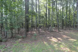 1212 Happy Hunting Hills Dr, Holly Springs, NC 27540 - Photo 41