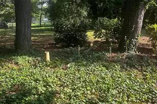 4405 Drexel Dr, Raleigh, NC 27609 - Photo 23