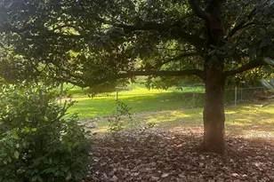 4405 Drexel Dr, Raleigh, NC 27609 - Photo 29