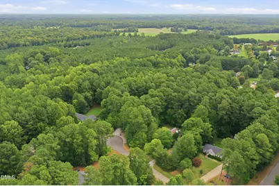 3411 Thistledown Court, Efland, NC 27243 - Photo 31