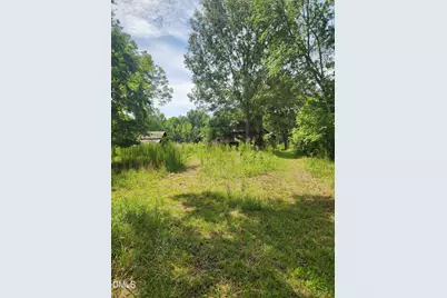 0 Bradshaw Quarry Road, Mebane, NC 27302 - Photo 3