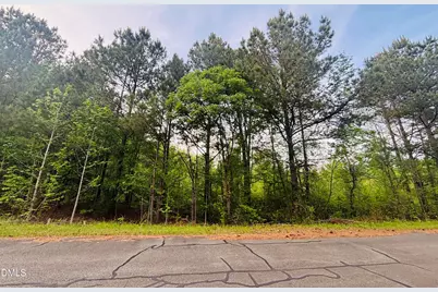 Tbd Alston Horton Service Road, Pittsboro, NC 27312 - Photo 5